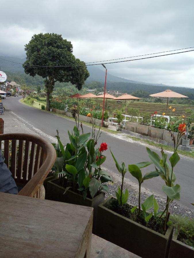 Babahan Farmstay Табанан Экстерьер фото