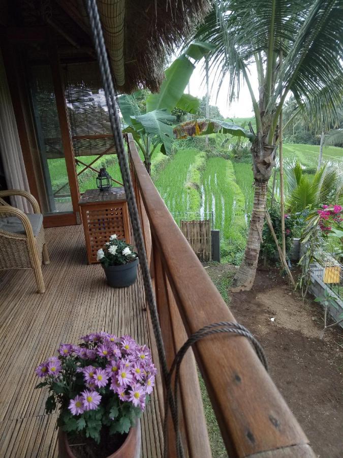 Babahan Farmstay Табанан Экстерьер фото