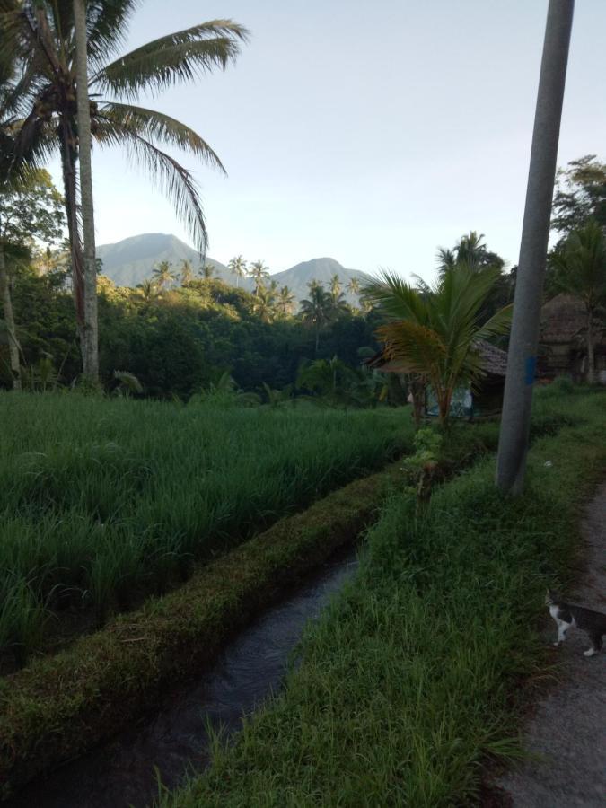 Babahan Farmstay Табанан Экстерьер фото