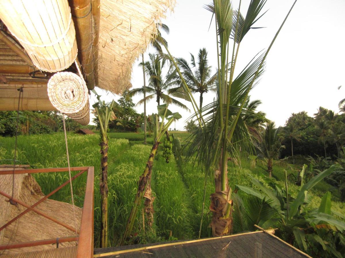 Babahan Farmstay Табанан Экстерьер фото