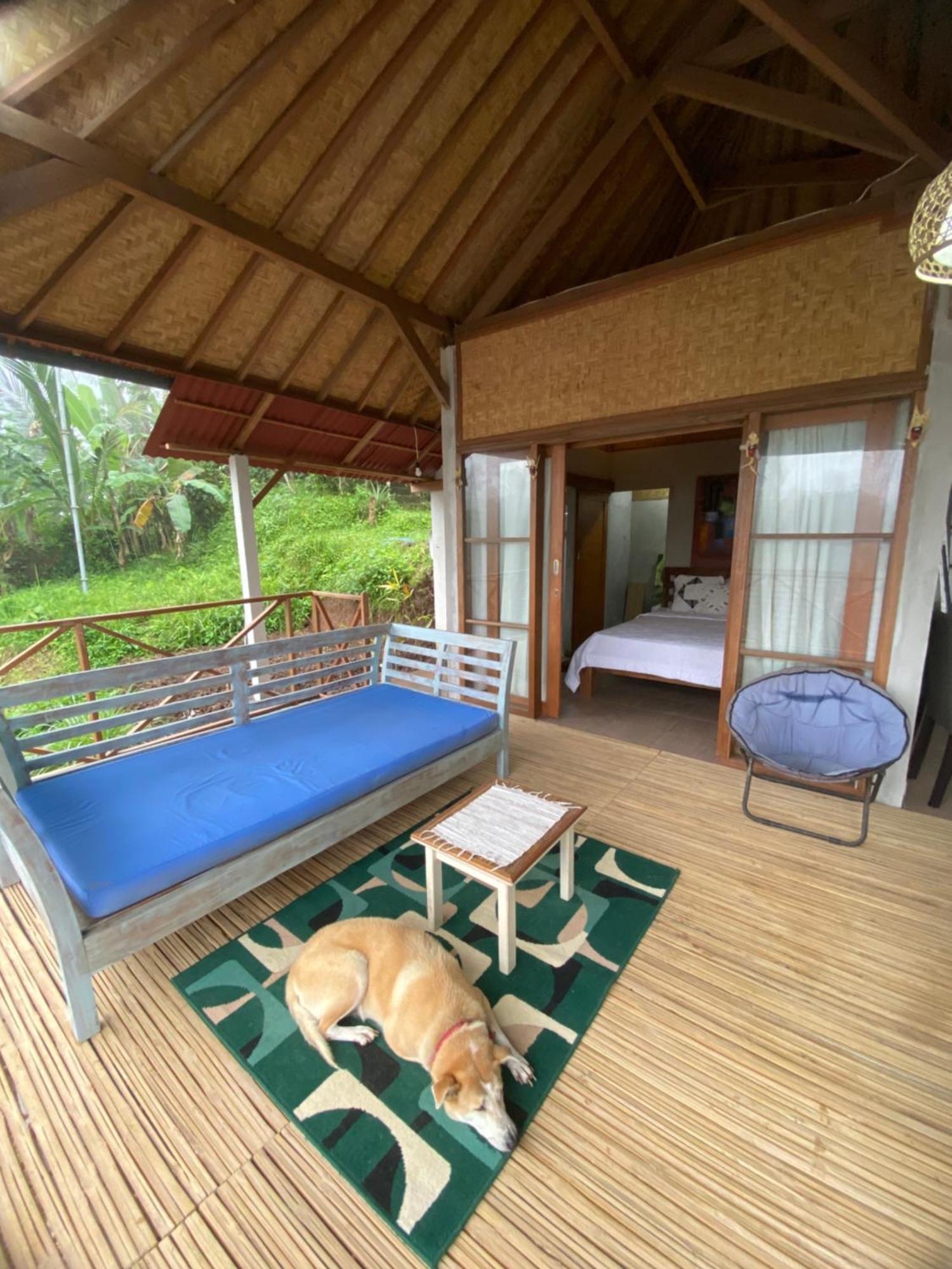 Babahan Farmstay Табанан Экстерьер фото